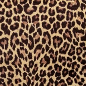 Meet your Posher, Starla